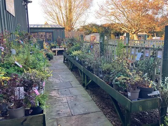Cranbrook Farm Shop & Nursery
