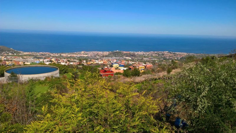 Casas La Suerte