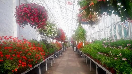 Duthie Park Winter Gardens