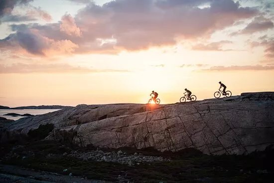Cykel Och Salt