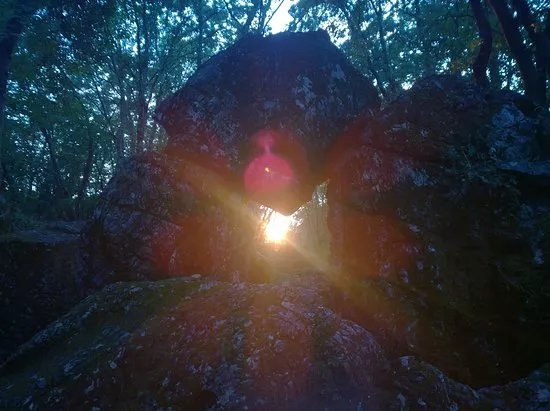 Farfalla di Luce
