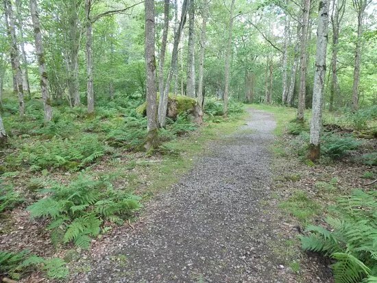 Pilgrimsleden Mariestad-Forshem