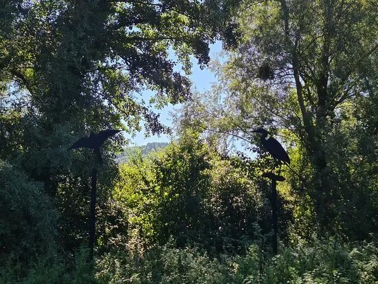Chemin Des Marais De La Veronniere Et Du Courbon