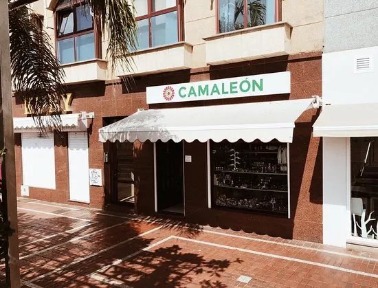 Camaleon Las Canteras