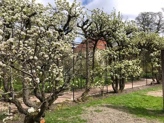 Seminarieparken