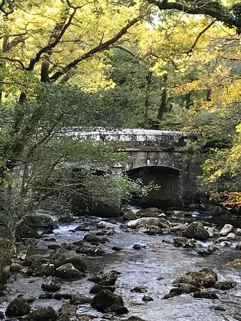 River Plym