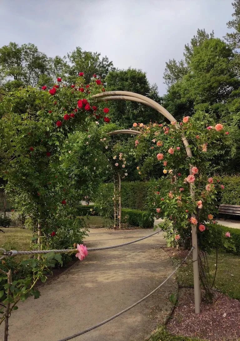 Rosengarten Im Stadtpark