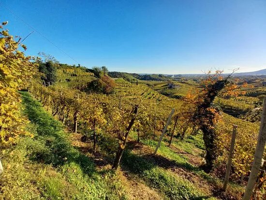 Prosecco Tour Italy by Chiara Wine Tour