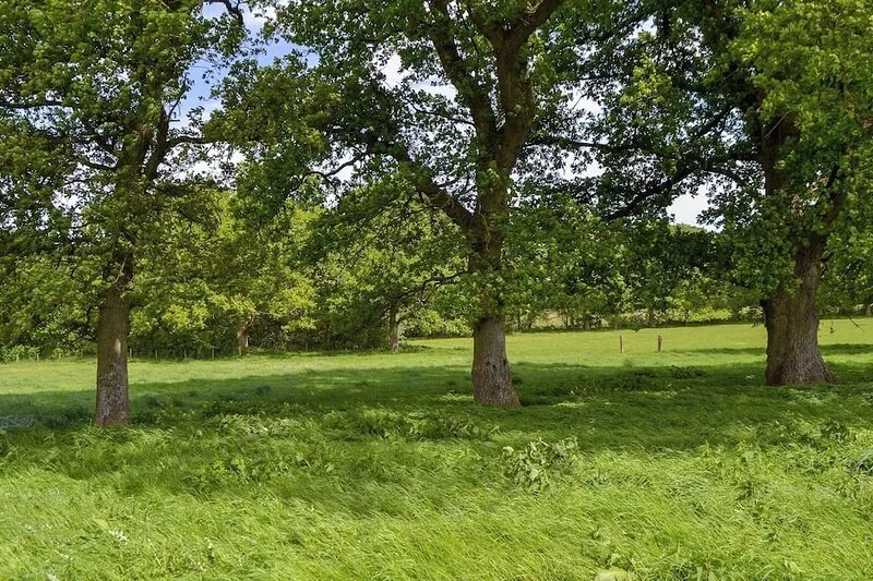 Woodlands Dairy Cottage