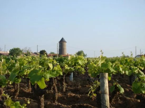 Domaine Jeremie Huchet