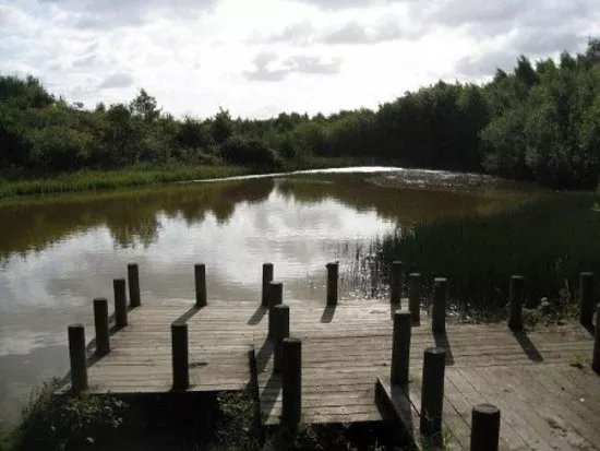 New Lount Nature Reserve