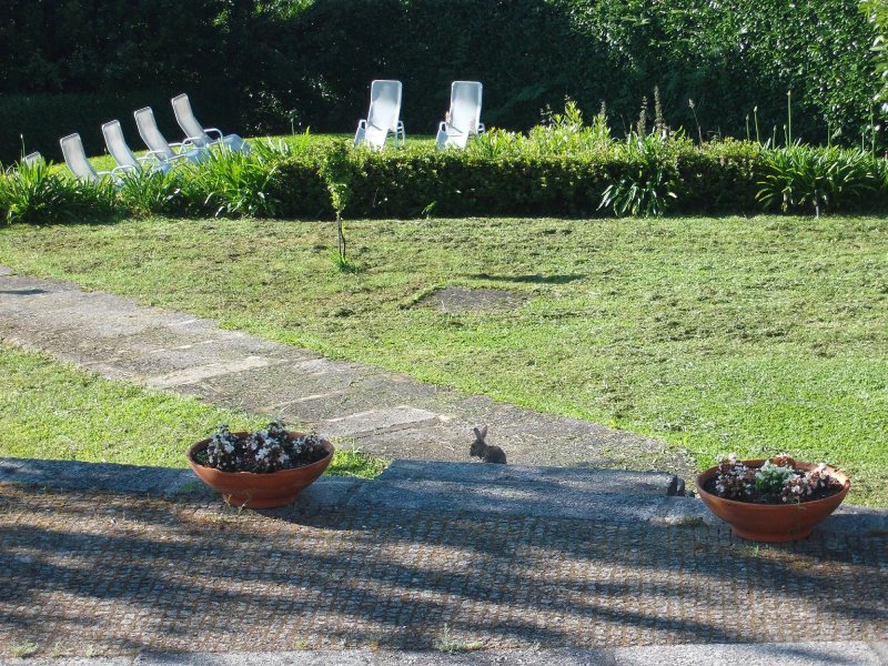 Quinta de Santo Antonio do Pombal