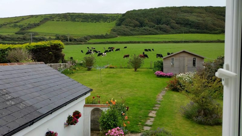 Oamaru Bed and Breakfast
