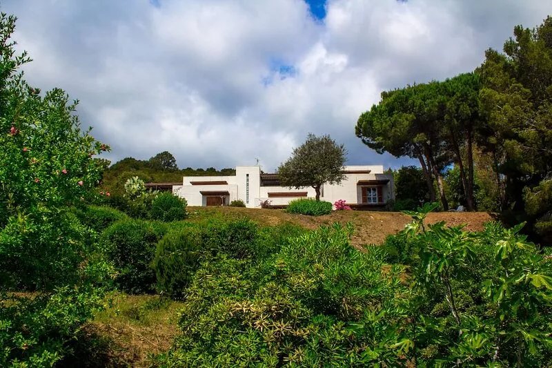 Apartment in the hills, in the green, with wonderful sea view on Elba Island