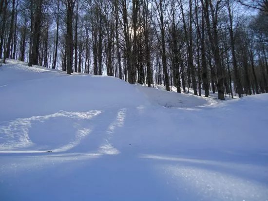 Campo dell'Osso