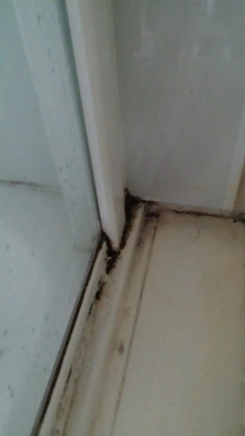 Collingdale Hotel Bed & Breakfast