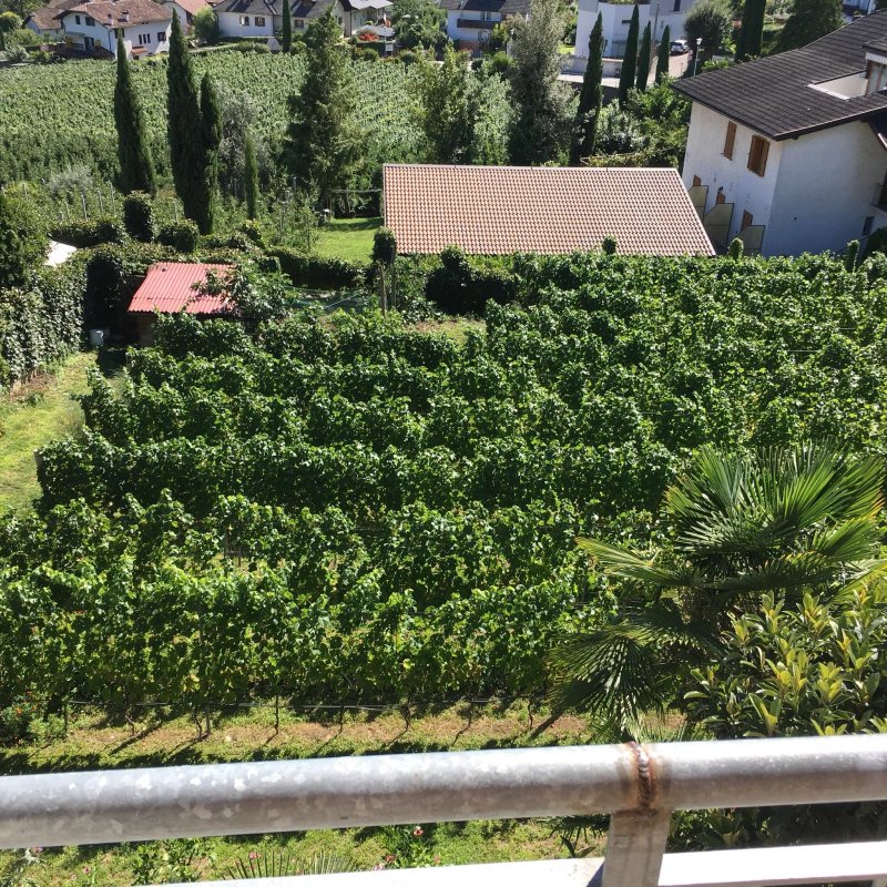 Villa Clavenz