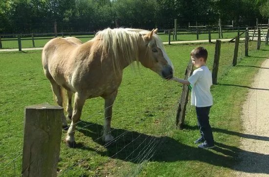 Tierpark Weeze