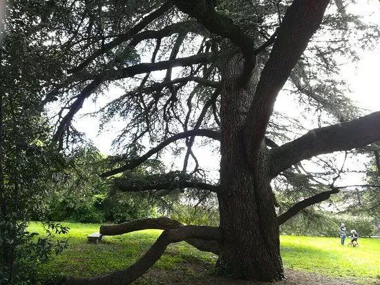 Giardino Botanico Colla