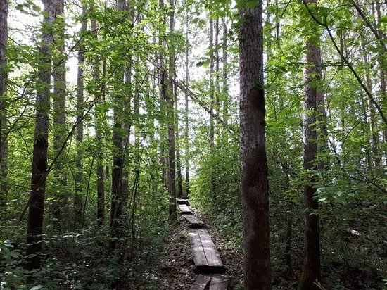 Lake Vallonjarvi - Guided nature path