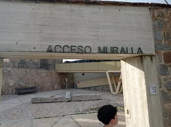 Puerta De La Adaja O Del Puente
