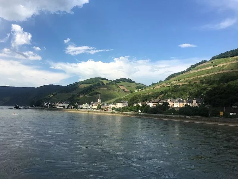 Haus am Weinberg with a view of the Rhine and the vineyards