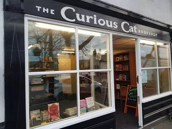 The Curious Cat Bookshop