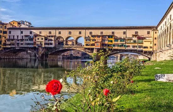 Niccoli Limousine Service - Private Tours