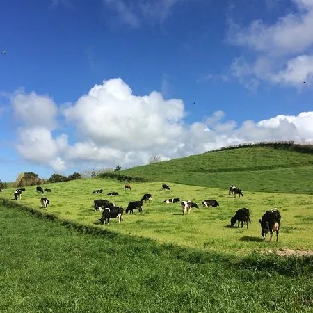 Amago Wellness Farm
