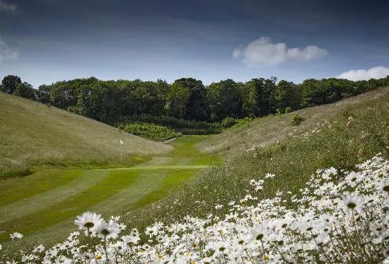 Royston Golf Club