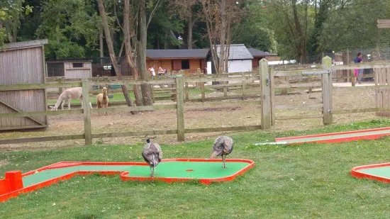 Cassiobury Farm and Fishery