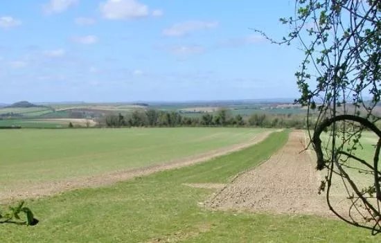 Stockbridge Wildlife and History Walk