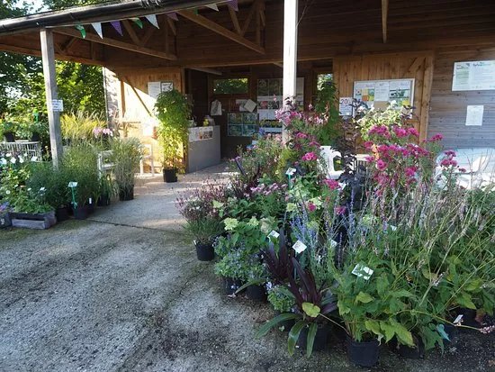 Hardy's Cottage Garden Plants