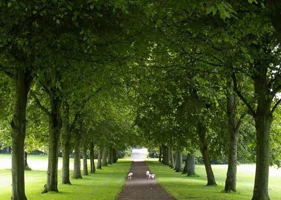 Eglinton Country Park