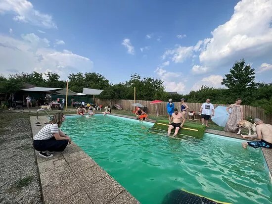 Dog Scouts Aqua Park
