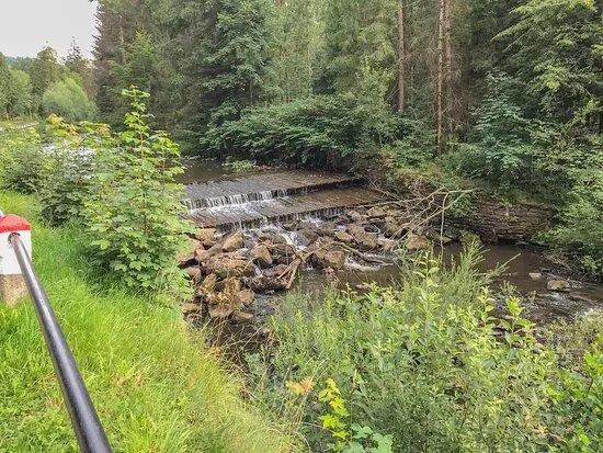 Sciezka Edukacyjna Przy NadleSnictwie Wisla