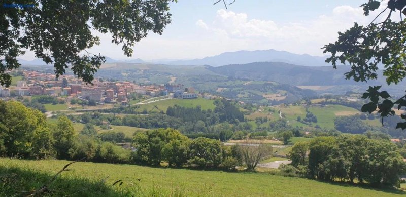 Apartamentos La Panerona