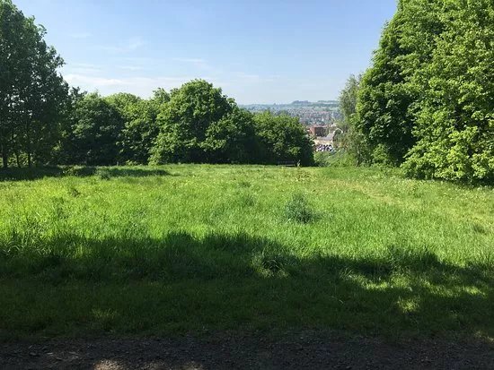 Belper Park Local Nature Reserve