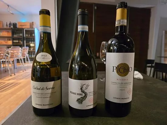 Umani Ronchi Winery
