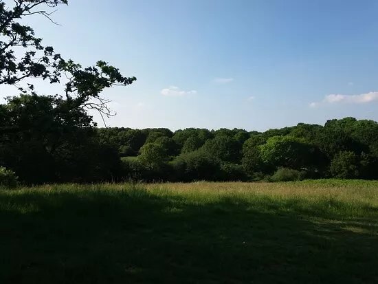 Mill Meadows Nature Reserve