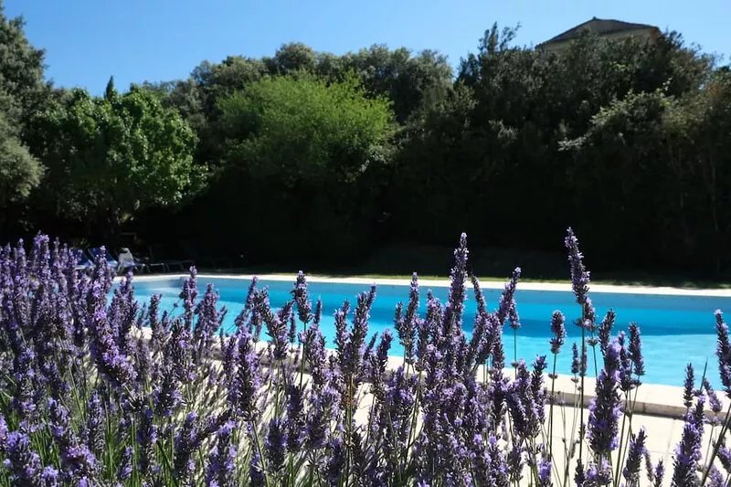 Beautiful manor with swimming pool and orchard facing  the Provençal Colorado