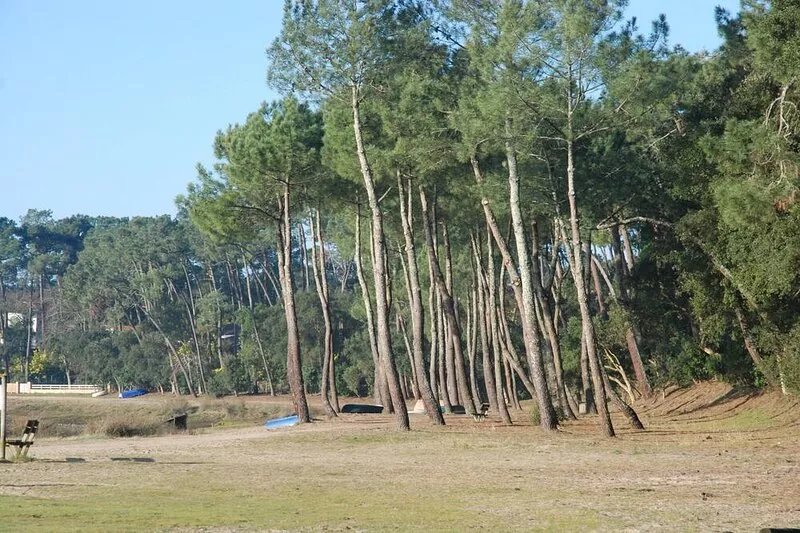 Family holiday house on the outskirts of Hossegor, 200m from the beach