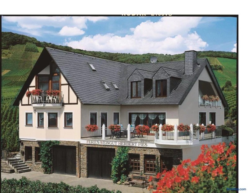 Ferienweingut Pies