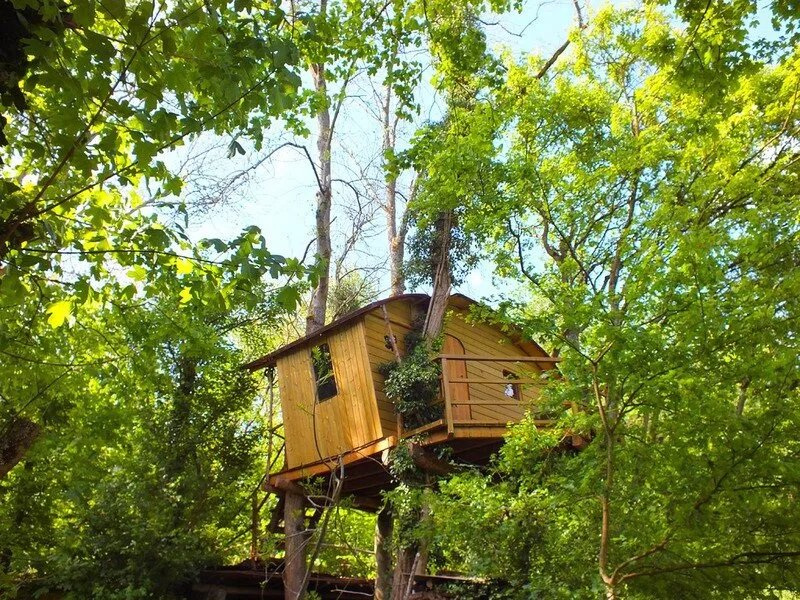 Thycabane