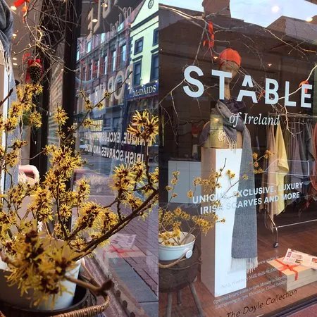 STABLE of Ireland, Dublin City Centre