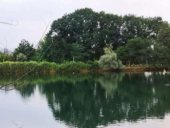 Parco Pertini
