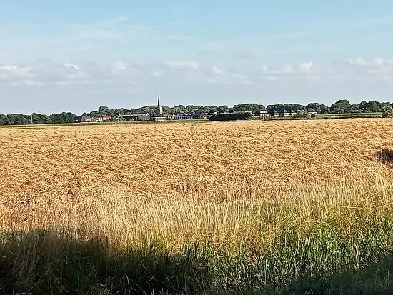 Nederlands Hervormde Kerk, Mijnsheerenland