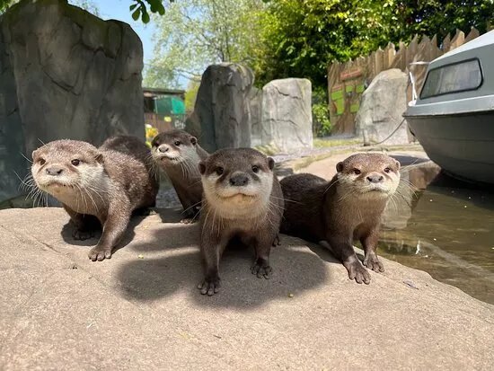 Exotic Zoo Wildlife Park + Natural History & Dino Museum
