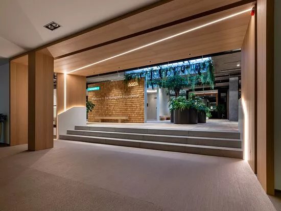 Hansgrohe Aquademie