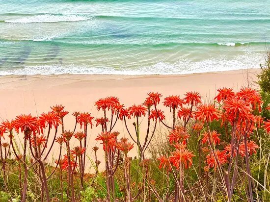 Praia do Canavial